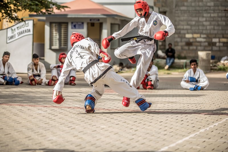 Taekwondo Classes